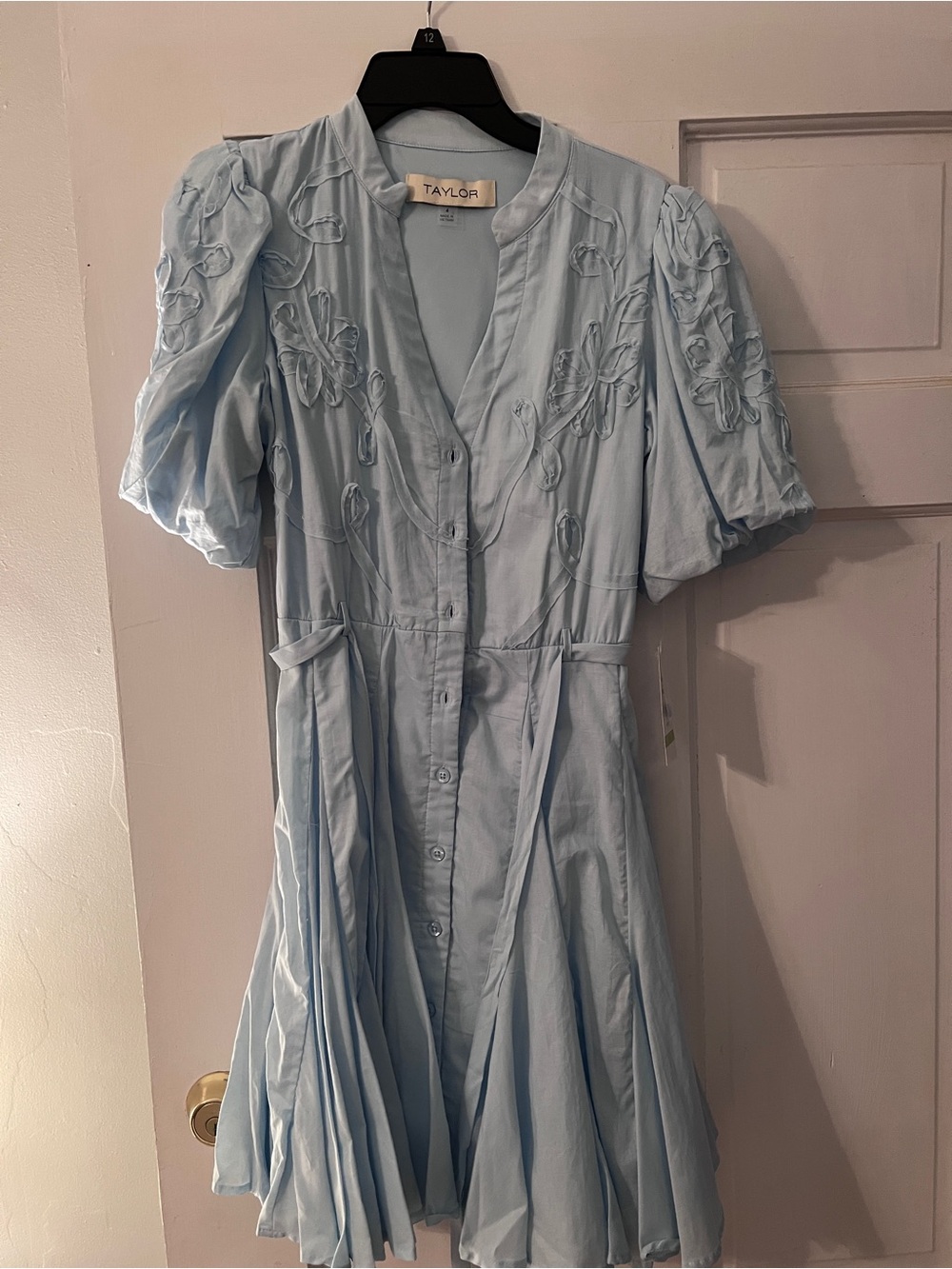 Taylor Pale Blue Embroidered Button-Front Mini Dress